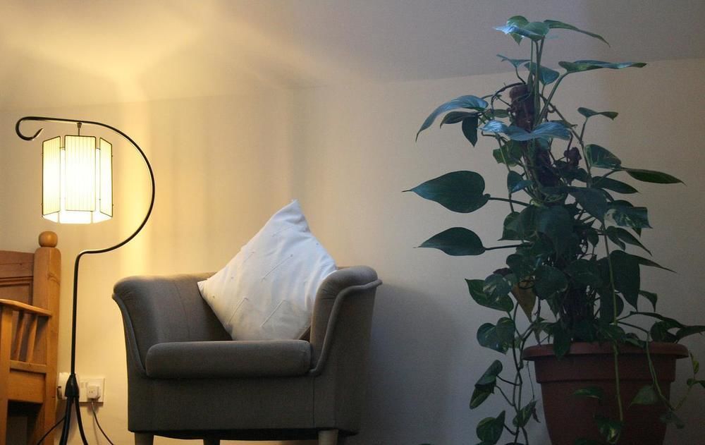 Ross House Bed and Breakfast Ροσκόμον Εξωτερικό φωτογραφία